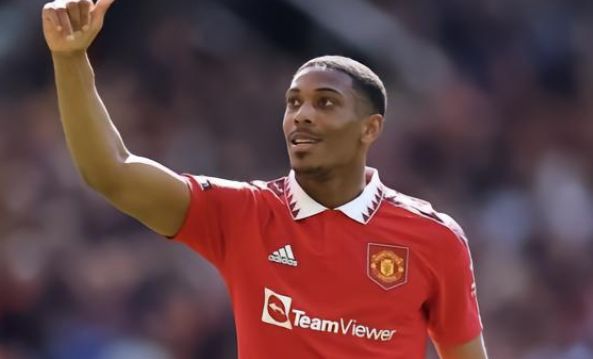 专业鞋垫 专业鞋垫